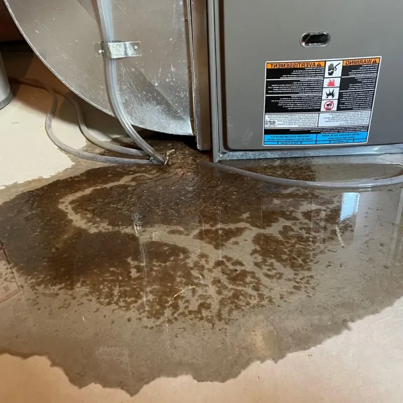 Pipe Burst and Leak Restoration in Harrisville, RI